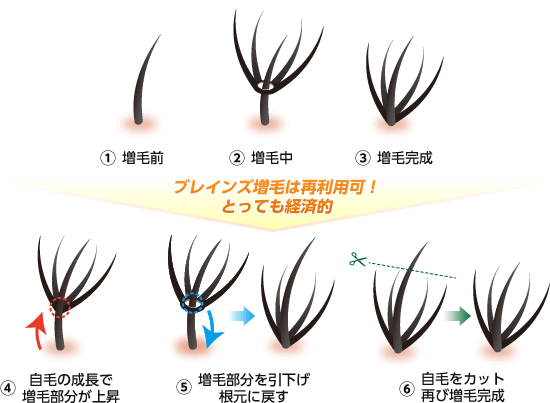 増毛の流れ