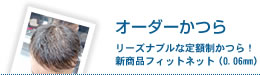 オーダーかつら リーズナブルで安定した品質！メンテナンスも可能